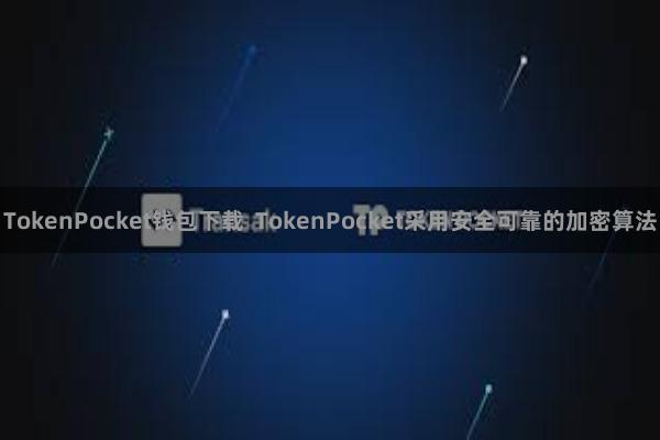 TokenPocket钱包下载 TokenPocket采用安全可靠的加密算法