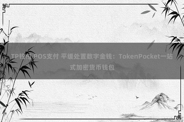 TP钱包 POS支付 平缓处置数字金钱：TokenPocket一站式加密货币钱包