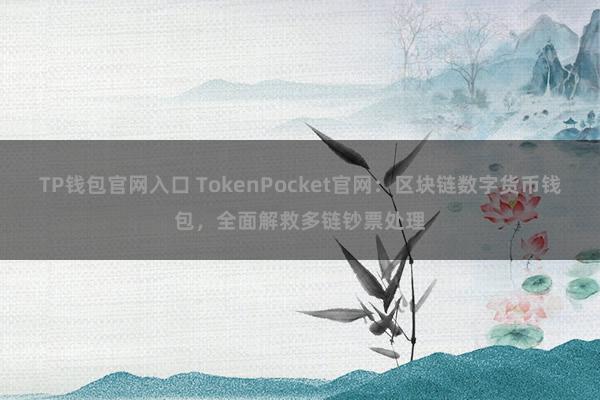 TP钱包官网入口 TokenPocket官网：区块链数字货币钱包，全面解救多链钞票处理